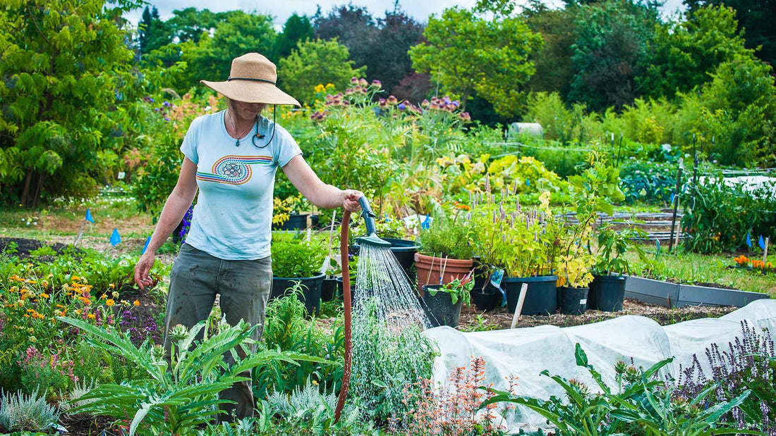 A woman wearing barrier lotion and a sun hat watering plants and tending to her garden